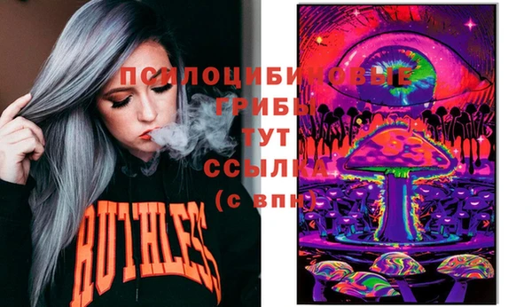 ПСИЛОЦИБИНОВЫЕ ГРИБЫ Абдулино