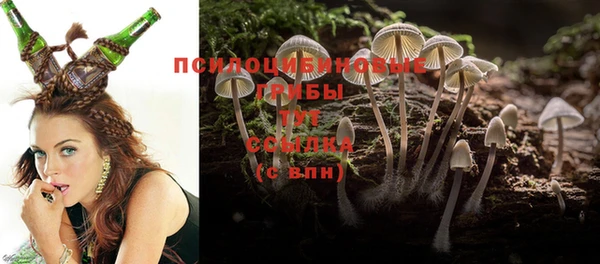 apvp Абинск