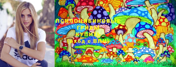 apvp Абинск