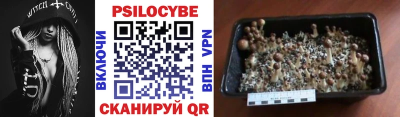 Псилоцибиновые грибы ЛСД  Владимир 