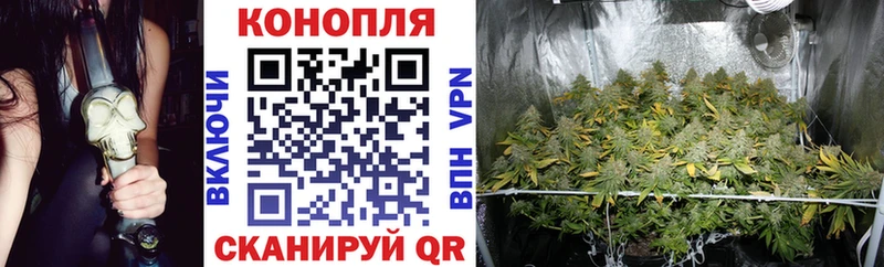 Бошки марихуана OG Kush  Владимир 